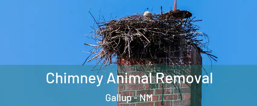 Chimney Animal Removal Gallup - NM