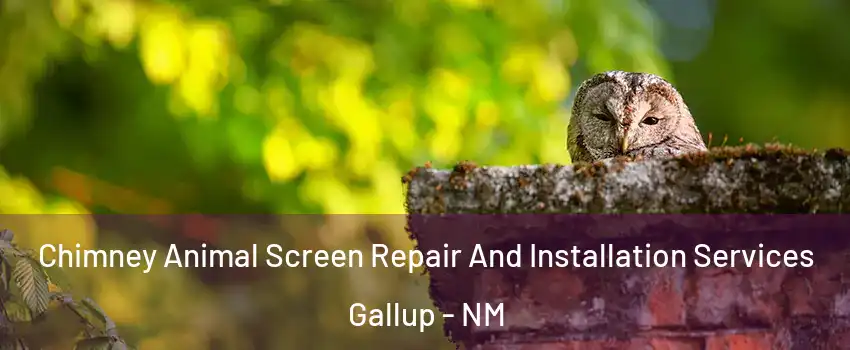  Chimney Animal Screen Repair And Installation Services Gallup - NM