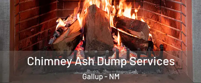  Chimney Ash Dump Services Gallup - NM