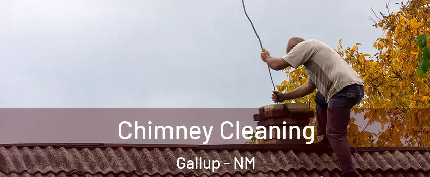  Chimney Cleaning Gallup - NM