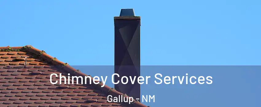  Chimney Cover Services Gallup - NM