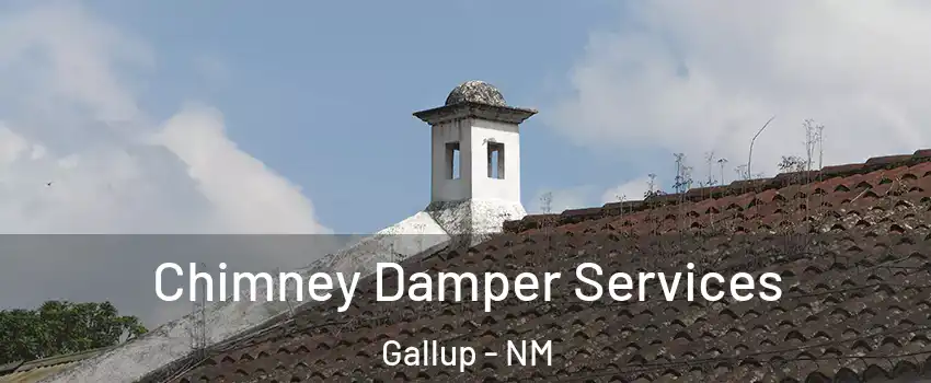  Chimney Damper Services Gallup - NM
