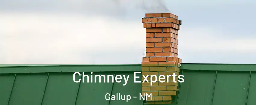 Chimney Experts Gallup - NM