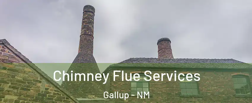  Chimney Flue Services Gallup - NM