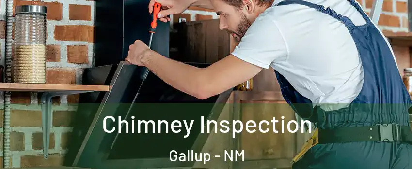  Chimney Inspection Gallup - NM