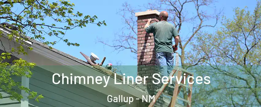  Chimney Liner Services Gallup - NM