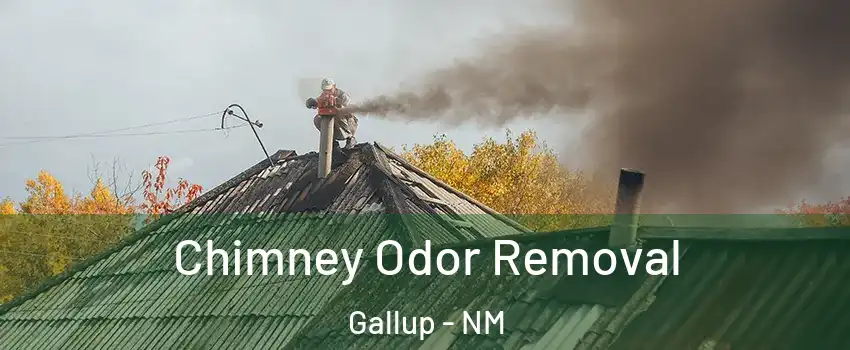  Chimney Odor Removal Gallup - NM