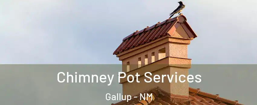  Chimney Pot Services Gallup - NM
