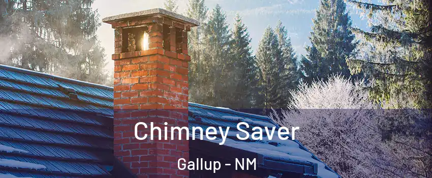  Chimney Saver Gallup - NM