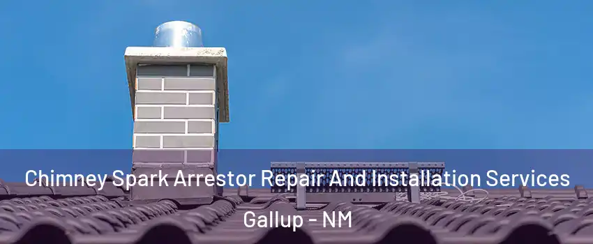  Chimney Spark Arrestor Repair And Installation Services Gallup - NM