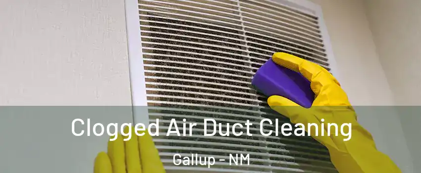  Clogged Air Duct Cleaning Gallup - NM