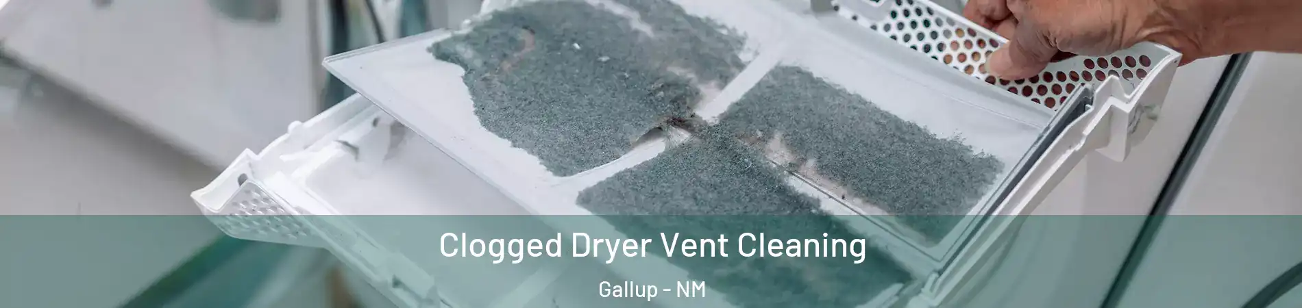  Clogged Dryer Vent Cleaning Gallup - NM
