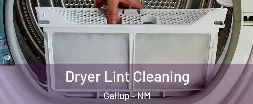  Dryer Lint Cleaning Gallup - NM