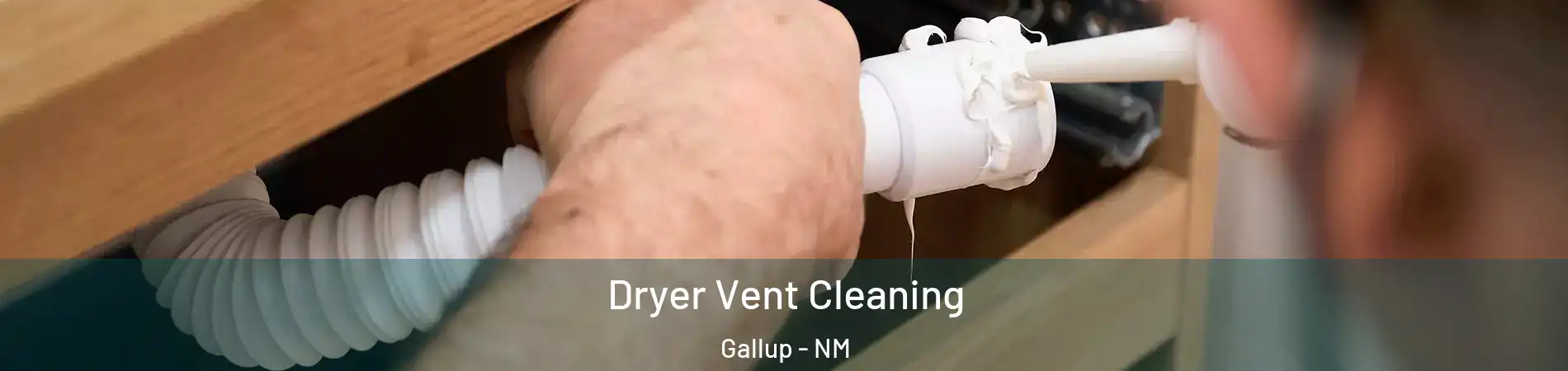  Dryer Vent Cleaning Gallup - NM