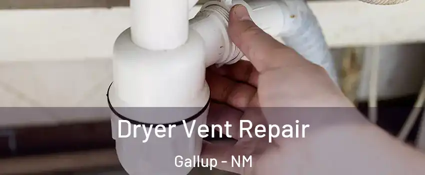  Dryer Vent Repair Gallup - NM