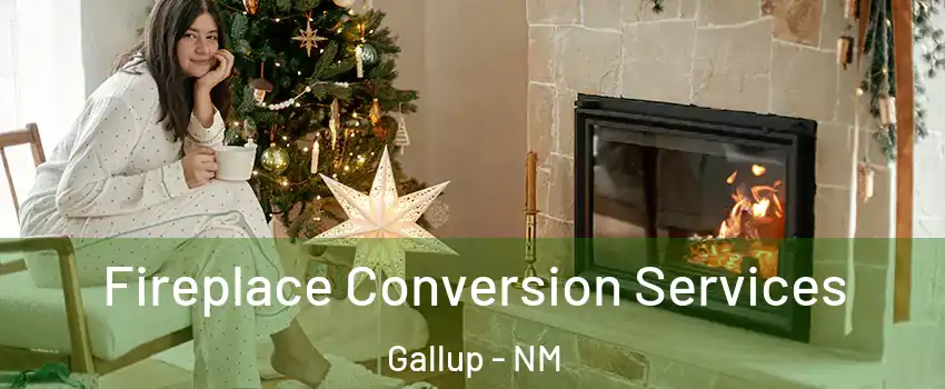  Fireplace Conversion Services Gallup - NM