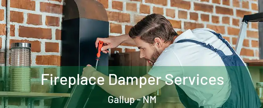  Fireplace Damper Services Gallup - NM