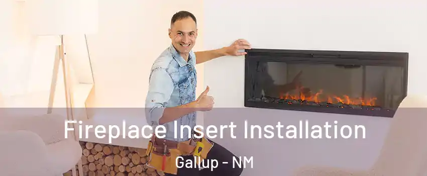  Fireplace Insert Installation Gallup - NM