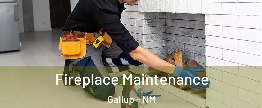  Fireplace Maintenance Gallup - NM