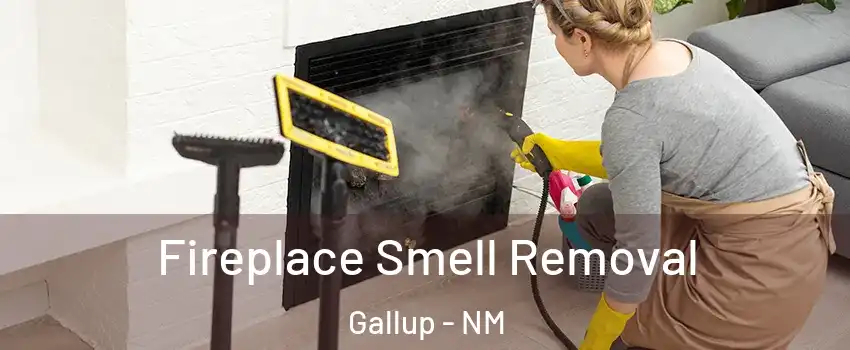  Fireplace Smell Removal Gallup - NM