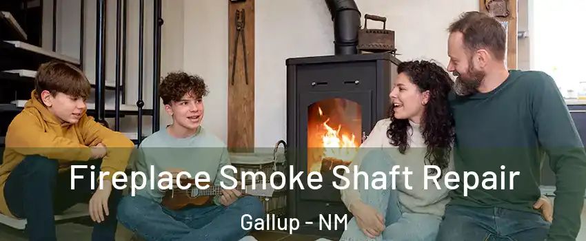  Fireplace Smoke Shaft Repair Gallup - NM