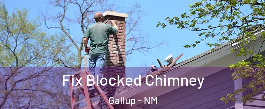  Fix Blocked Chimney Gallup - NM