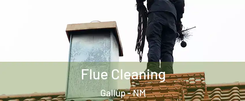  Flue Cleaning Gallup - NM