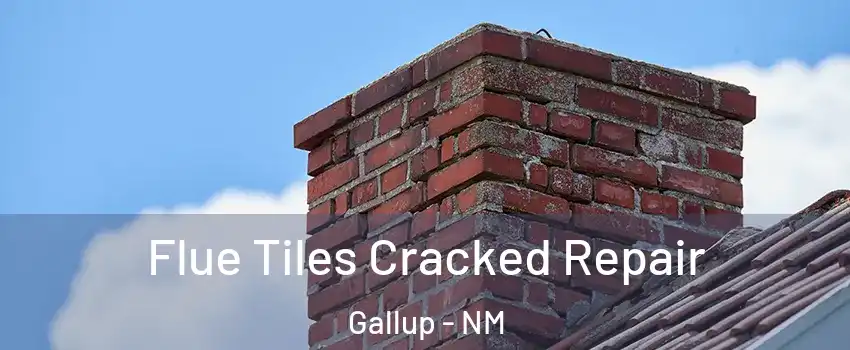  Flue Tiles Cracked Repair Gallup - NM