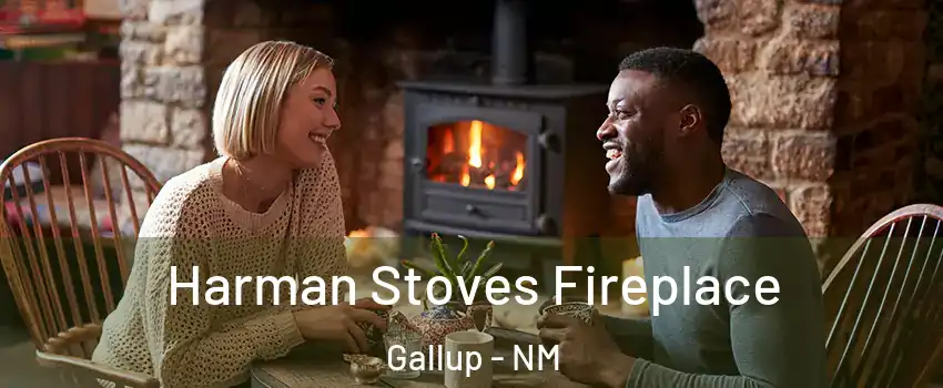  Harman Stoves Fireplace Gallup - NM