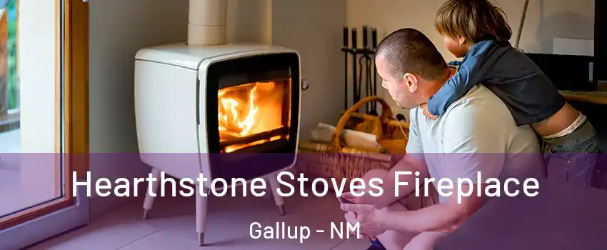  Hearthstone Stoves Fireplace Gallup - NM
