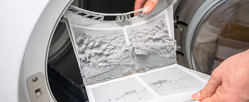 Best Dryer Lint Removal Company in Gallup, New Mexico