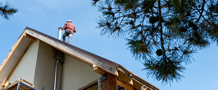 Birds Removal Contractors from Chimney in Gallup, NM