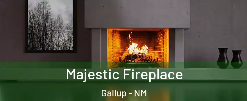  Majestic Fireplace Gallup - NM