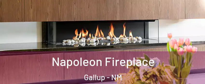  Napoleon Fireplace Gallup - NM