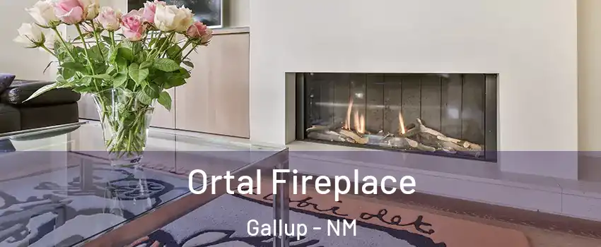 Ortal Fireplace Gallup - NM