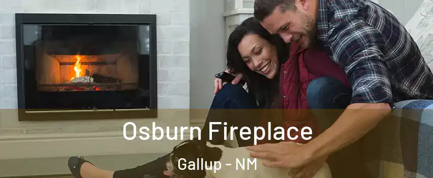  Osburn Fireplace Gallup - NM