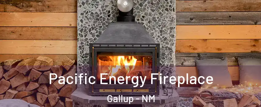 Pacific Energy Fireplace Gallup - NM
