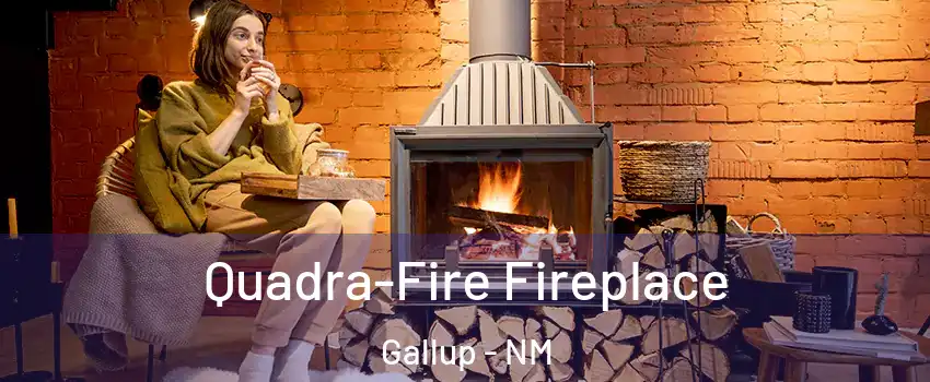  Quadra-Fire Fireplace Gallup - NM