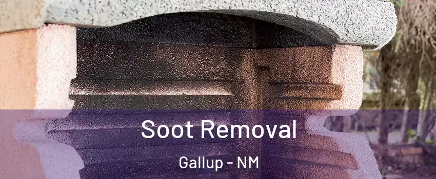  Soot Removal Gallup - NM