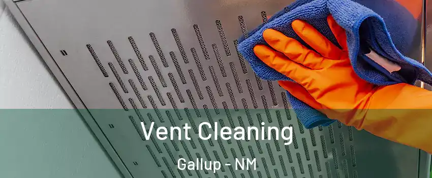  Vent Cleaning Gallup - NM